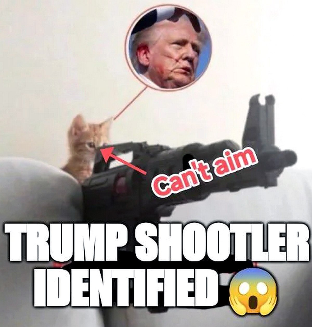 Trump shooter identified Стрелок Трампа идентифицирован, это котенок, который не может прицелиться