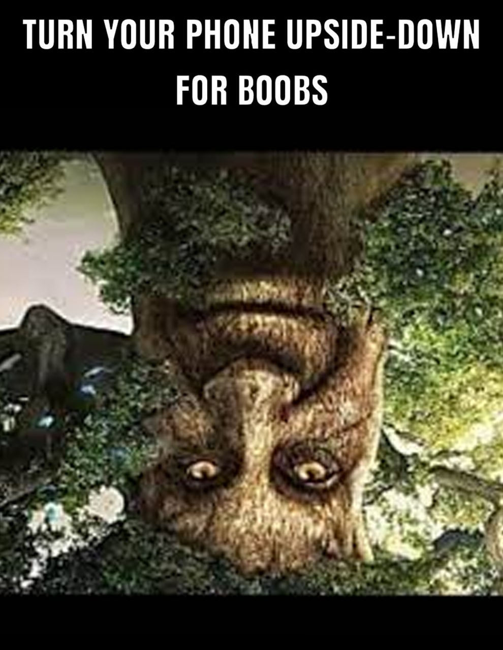 Turn your phone upside-down for boobs Мем с надписью «Поверните телефон для сисек», на котором изображено перевернутое вверх ногами лицо дерева. Перевернув изображение, можно увидеть нечто, напоминающее женскую грудь.