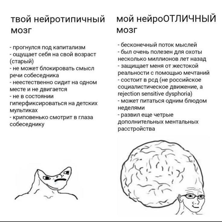 Твой нейротипичный мозг против моего Сравнение нейротипичного и нейроотличного мозга в меме