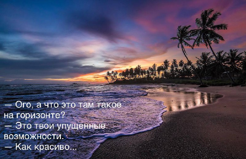 Это твои упущенные возможности Диалог об упущенных возможностях на фоне красивого заката с пальмами на берегу моря