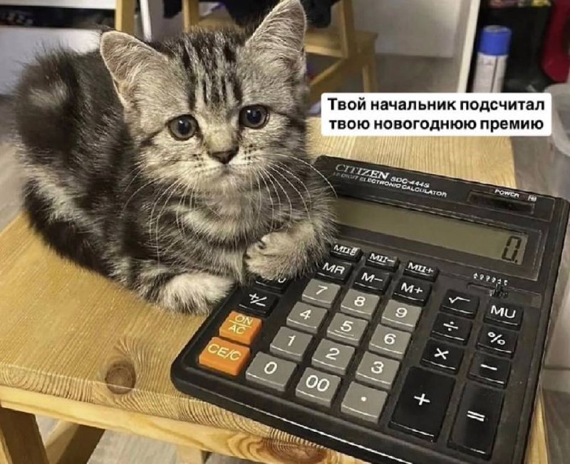 Твой начальник подсчитал твою новогоднюю премию Котёнок с грустными глазами сидит рядом с калькулятором, на дисплее которого «0», а подпись гласит: «Твой начальник подсчитал твою новогоднюю премию».