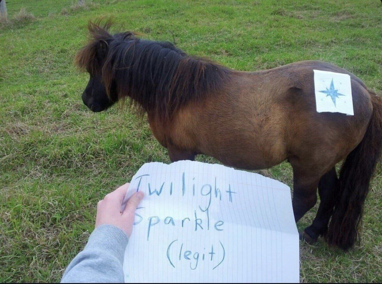 Twilight Sparkle (legit) пони Пони Твайлайт Спаркл (настоящая)