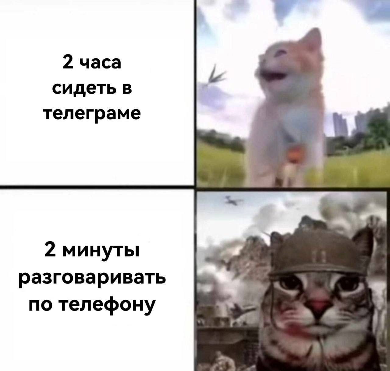 2 минуты по телефону кот Мем про 2 часа в телеграме и 2 минуты по телефону с котами