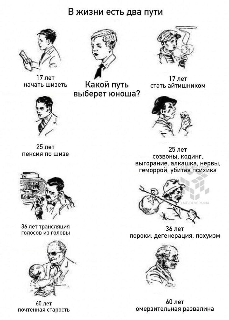 В жизни есть два пути Два пути в жизни: стать шизиком или айтишником, ироничный взгляд на последствия каждого выбора.