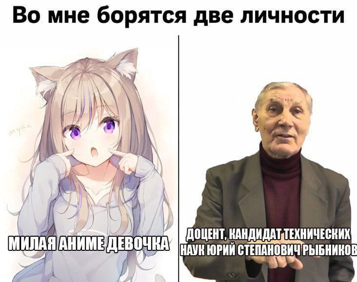 Во мне борются две личности: милая аниме девочка и доцент, кандидат технических наук Юрий Степанович Рыбников