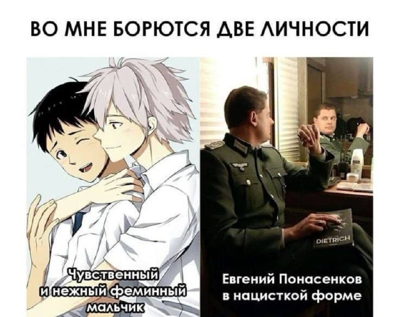Мем «Во мне борются две личности» с контрастом между нежным феминным мальчиком и Евгением Понасенковым в нацистской форме.