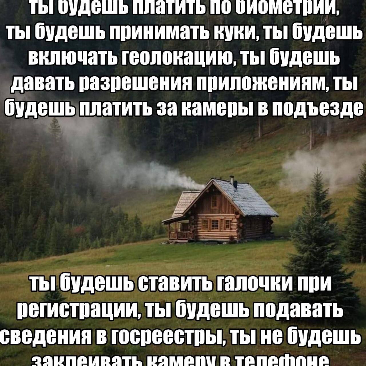 Ты будешь платить по биометрии Мем про будущее с хижиной в лесу и надписями о тотальном контроле и биометрии.