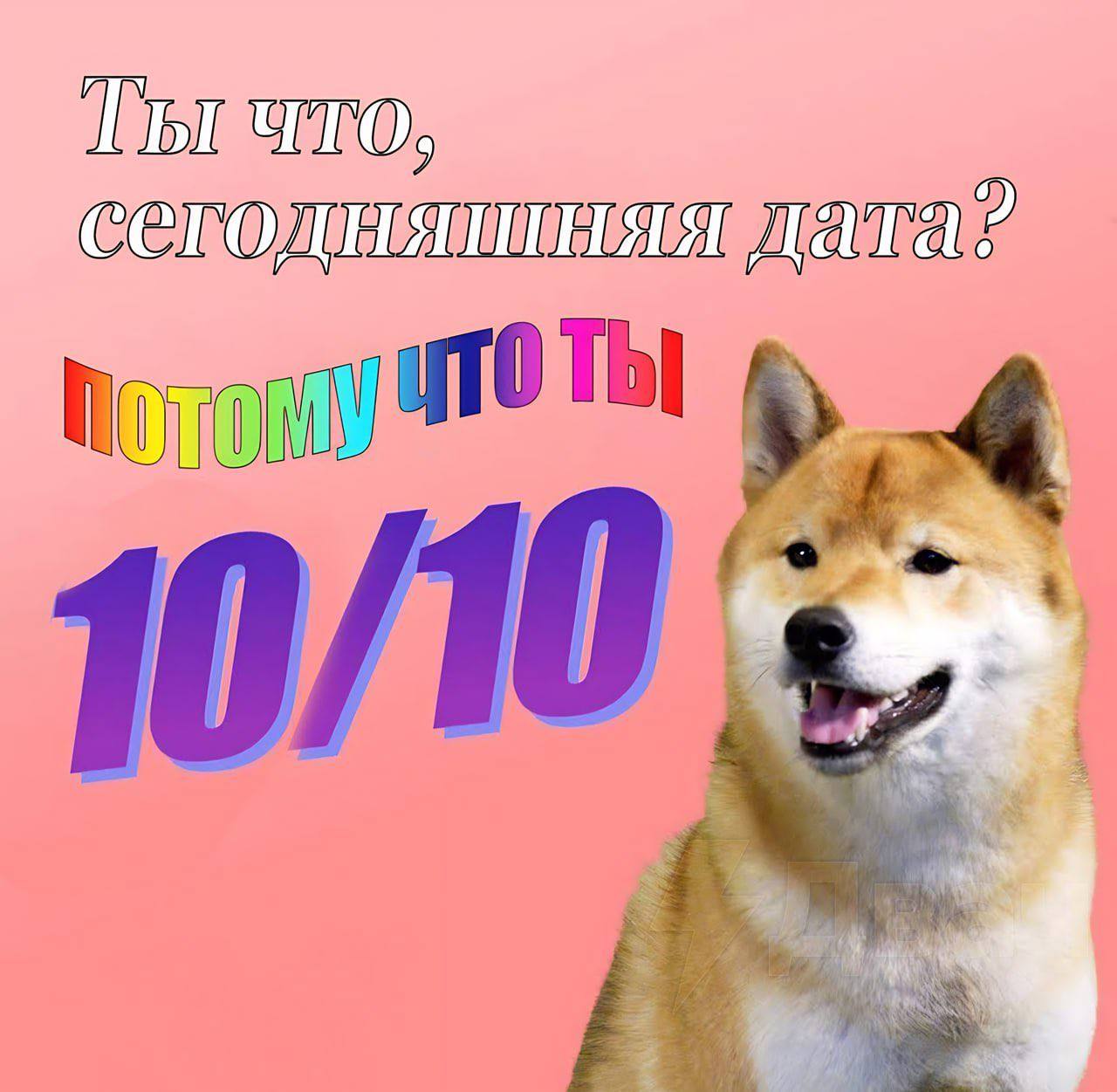 Ты что, сегодняшняя дата? Потому что ты 10/10 Мем с собакой шиба-ину и надписью «Ты что, сегодняшняя дата? Потому что ты 10/10»