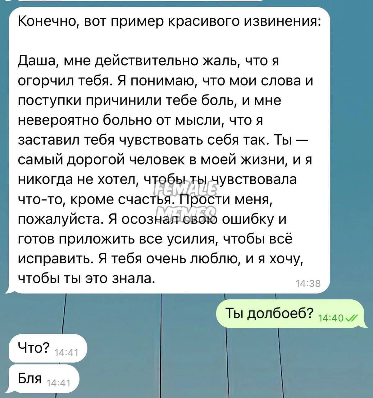 Ты долбоеб переписка с извинением Сообщение с примером красивого извинения и резко-отрицательным ответом, показывающее разницу между идеализированными ожиданиями и реальностью диалога