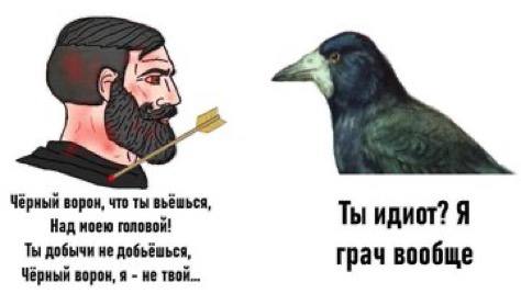 Ты идиот? Я грач вообще Мем с бородатым мужчиной и грачом: «Ты идиот? Я грач вообще»