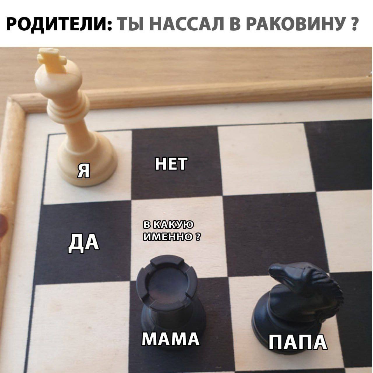 Ты нассал в раковину Мем, где родители спрашивают у ребенка нассал ли он в раковину, а ребенок спрашивает в какую именно