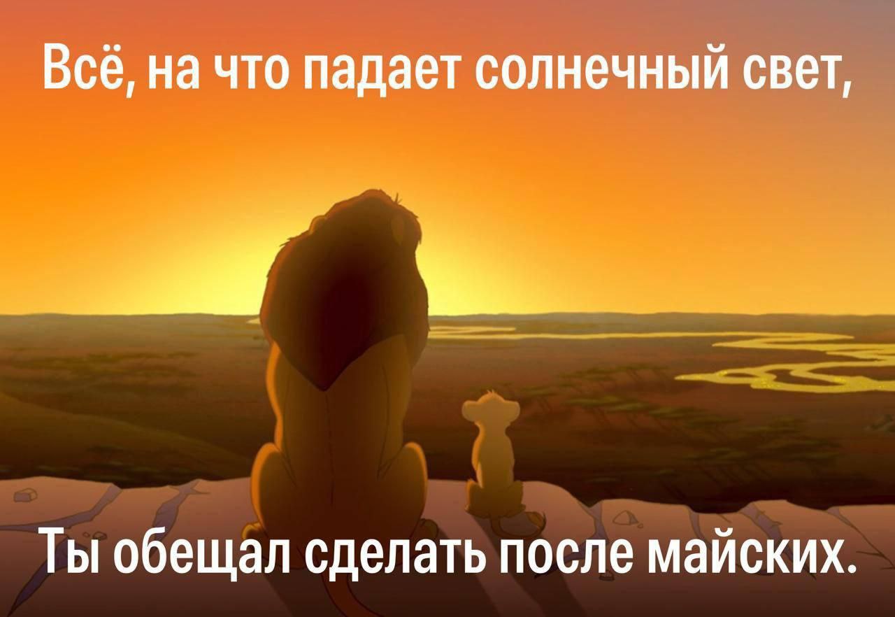 Ты обещал сделать после майских Львёнок Симба и его отец Муфаса смотрят вдаль на закате и разговаривают о том, что будет сделано после майских праздников