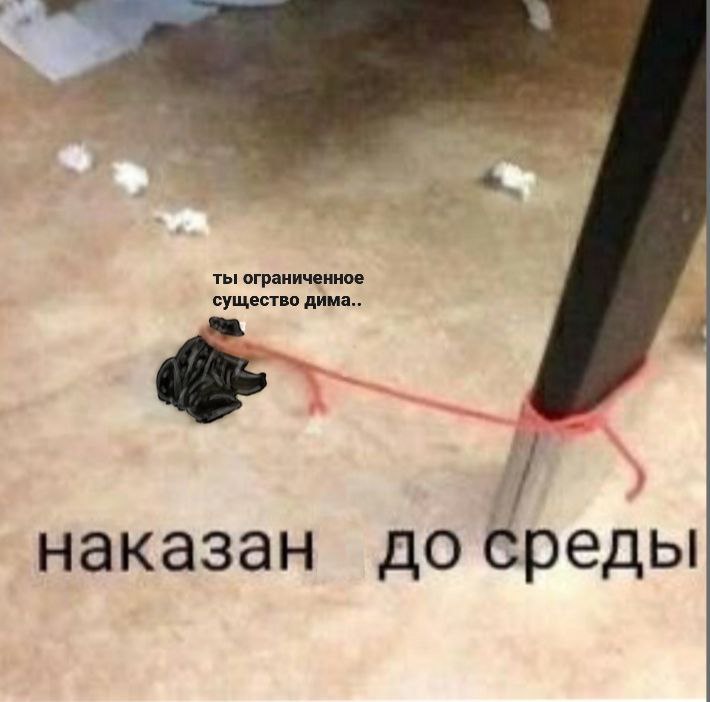 Ты ограниченное существо Дима Мем с черным пакетом, привязанным к ножке стола и надписью "Ты ограниченное существо Дима. Наказан до среды".