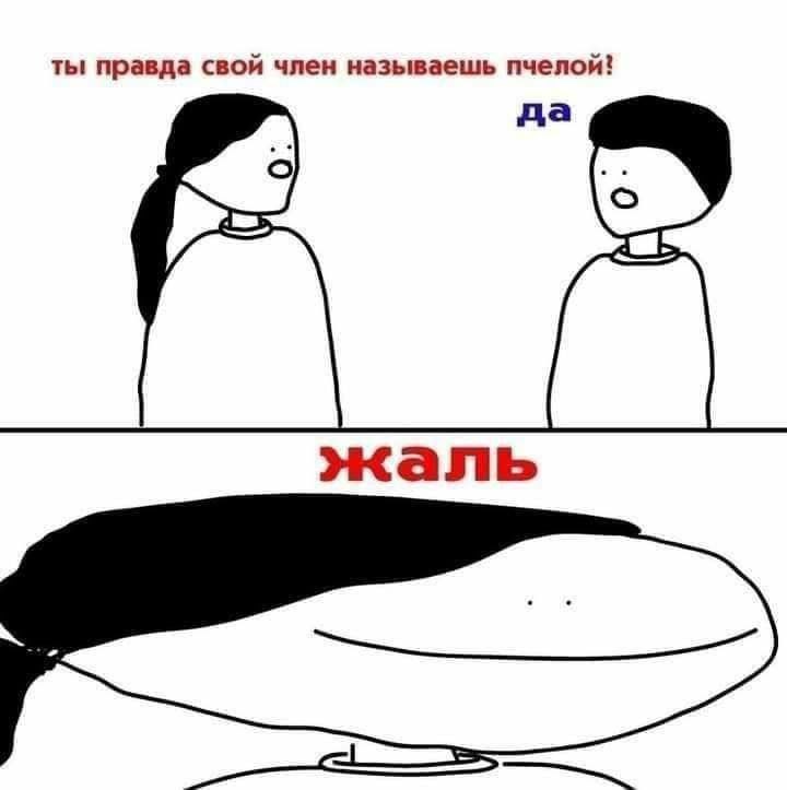 Ты правда свой член называешь пчелой Мем с фразой «Ты правда свой член называешь пчелой» и последующим разочарованным выражением лица.