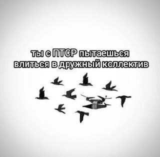 Ты с ПТСР пытаешься влиться в дружный коллектив Изображение дрона, пытающегося влиться в стаю птиц, символизирует человека с ПТСР, пытающегося адаптироваться в коллективе