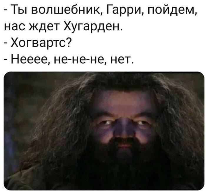Ты волшебник, Гарри, нас ждет Хугарден Мем с Хагридом и шуткой про пиво Хугарден вместо Хогвартса.