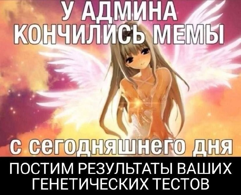 Аниме-девушка с крыльями и надписью о том, что у админа закончились мемы, поэтому теперь будут публиковаться результаты генетических тестов.