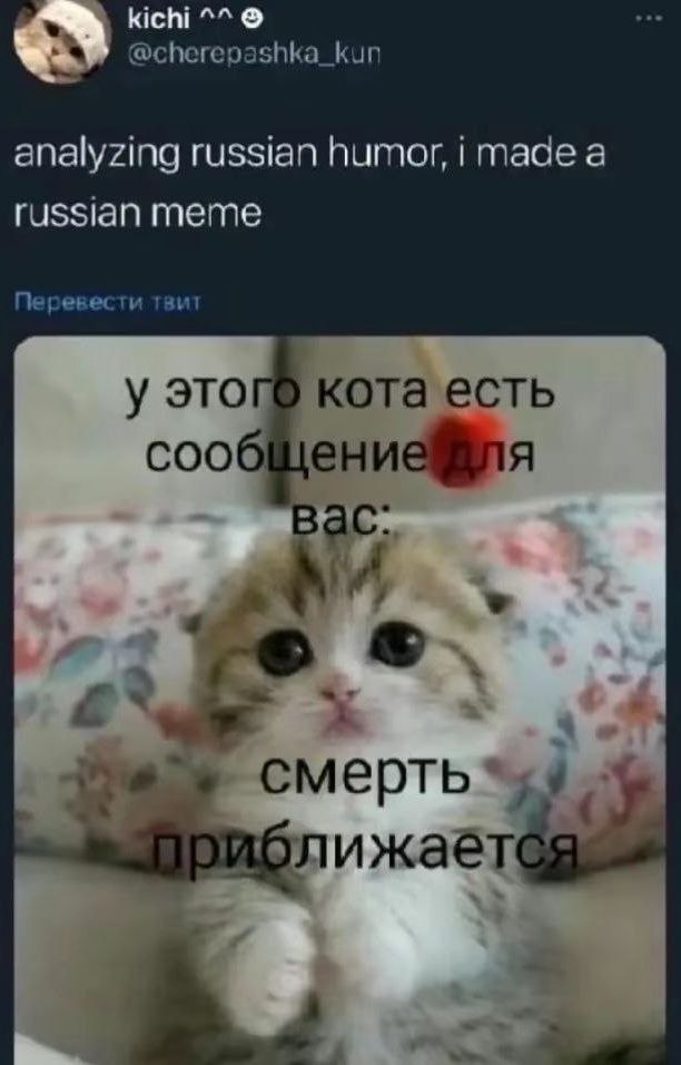 Скриншот твита с котёнком, на котором написано: «У этого кота есть сообщение для вас: смерть приближается»