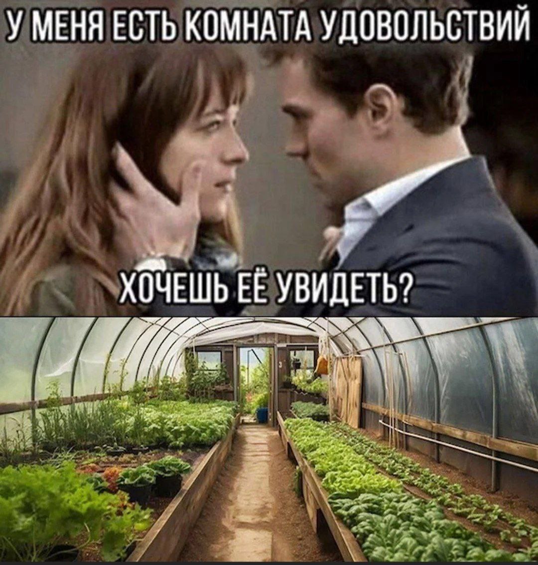 У меня есть комната удовольствий Мужчина предлагает девушке увидеть его «комнату удовольствий», а на деле показывает теплицу с растениями.