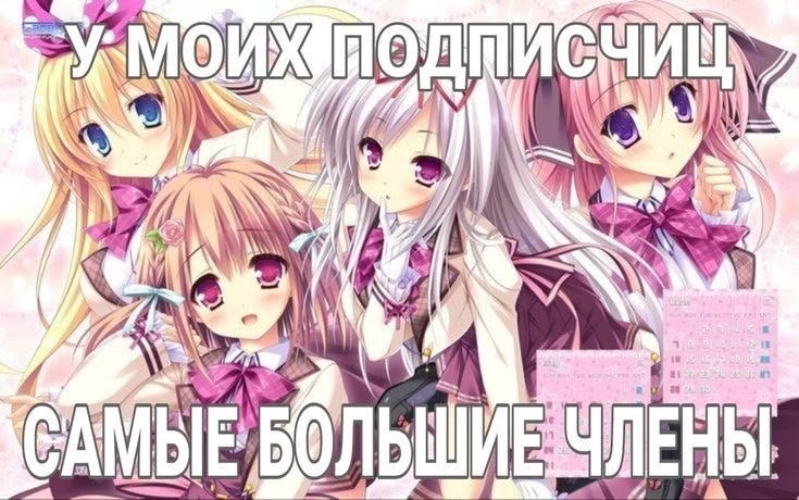 Четыре аниме-девушки и провокационная надпись «У моих подписчиц самые большие члены».