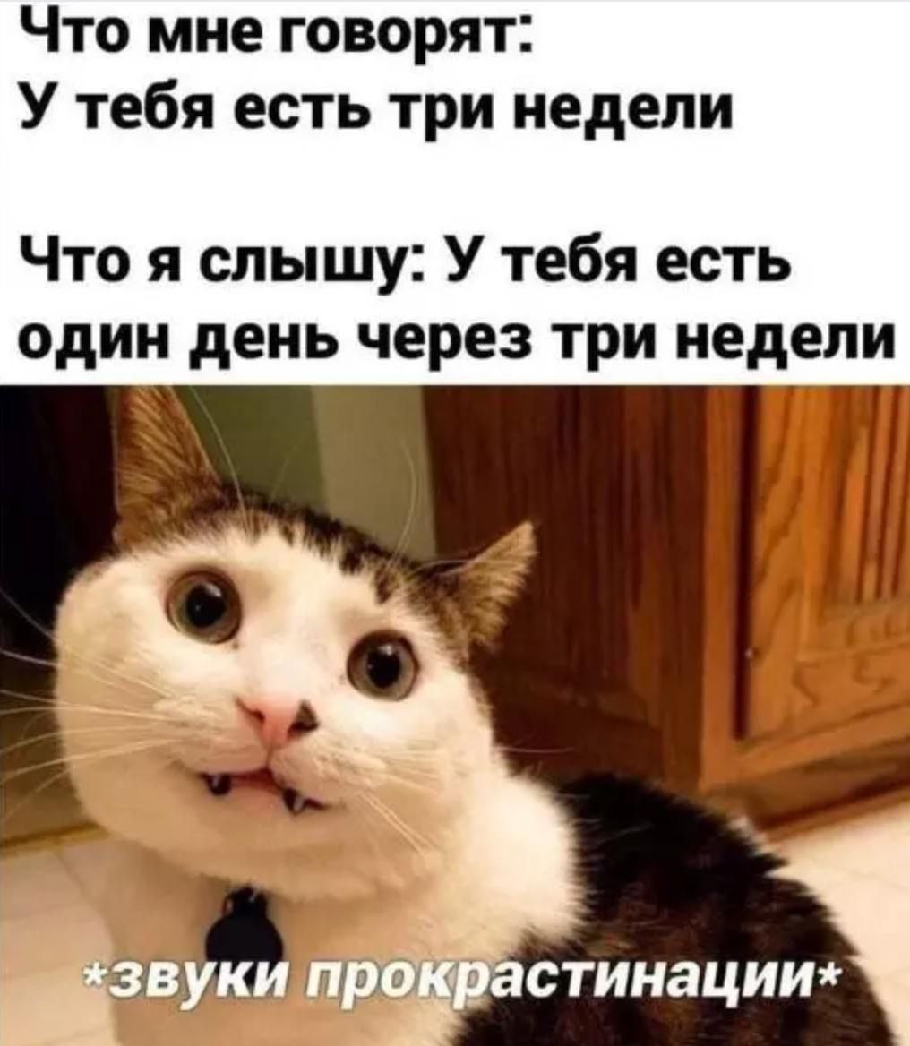 У тебя есть три недели Что мне говорят: у тебя есть три недели. Что я слышу: у тебя есть один день через три недели. *звуки прокрастинации*