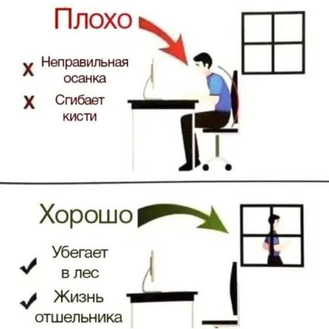 Убегает в лес Мем про неправильную осанку за компьютером, который предлагает убежать в лес и начать жизнь отшельника вместо исправления позы.