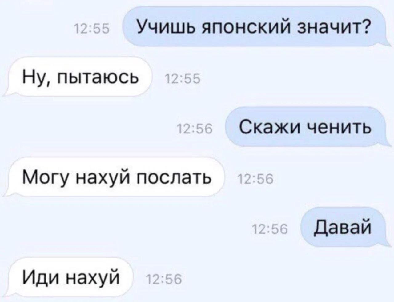 Учишь японский? Могу нахуй послать Скриншот переписки, где один человек спрашивает другого, учит ли он японский, на что получает шутливый ответ с ругательством.
