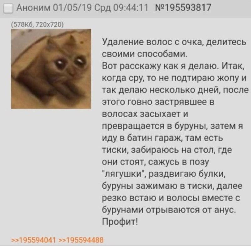 Удаление волос с очка, делитесь своими способами Кот с грустными глазами и абсурдный способ удаления волос с «очка».