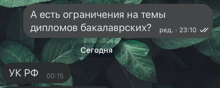 УК РФ Мем с перепиской, где на вопрос об ограничениях тем дипломов бакалаврских отвечают "УК РФ"