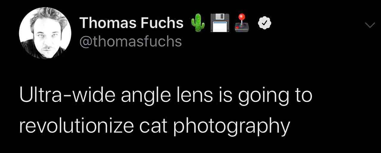 Ultra-wide angle lens is going to revolutionize cat photography Твит от Томаса Фукса про революцию в фотографии кошек благодаря сверхширокоугольному объективу