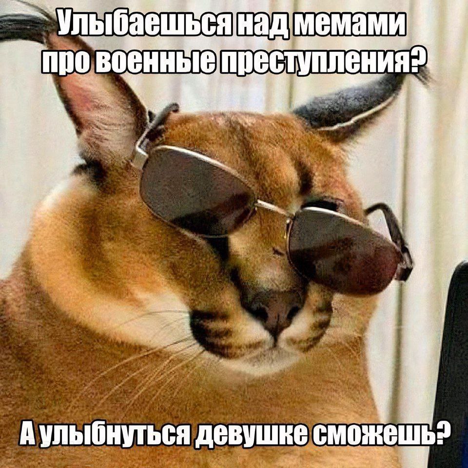 Улыбающийся флопа в очках Мем с каракалом Флопой в очках и надписью про улыбку