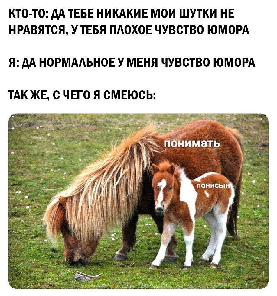 Понимать и понисын Мем с пони и жеребенком, где пони подписан как «понимать», а жеребенок как «понисын»