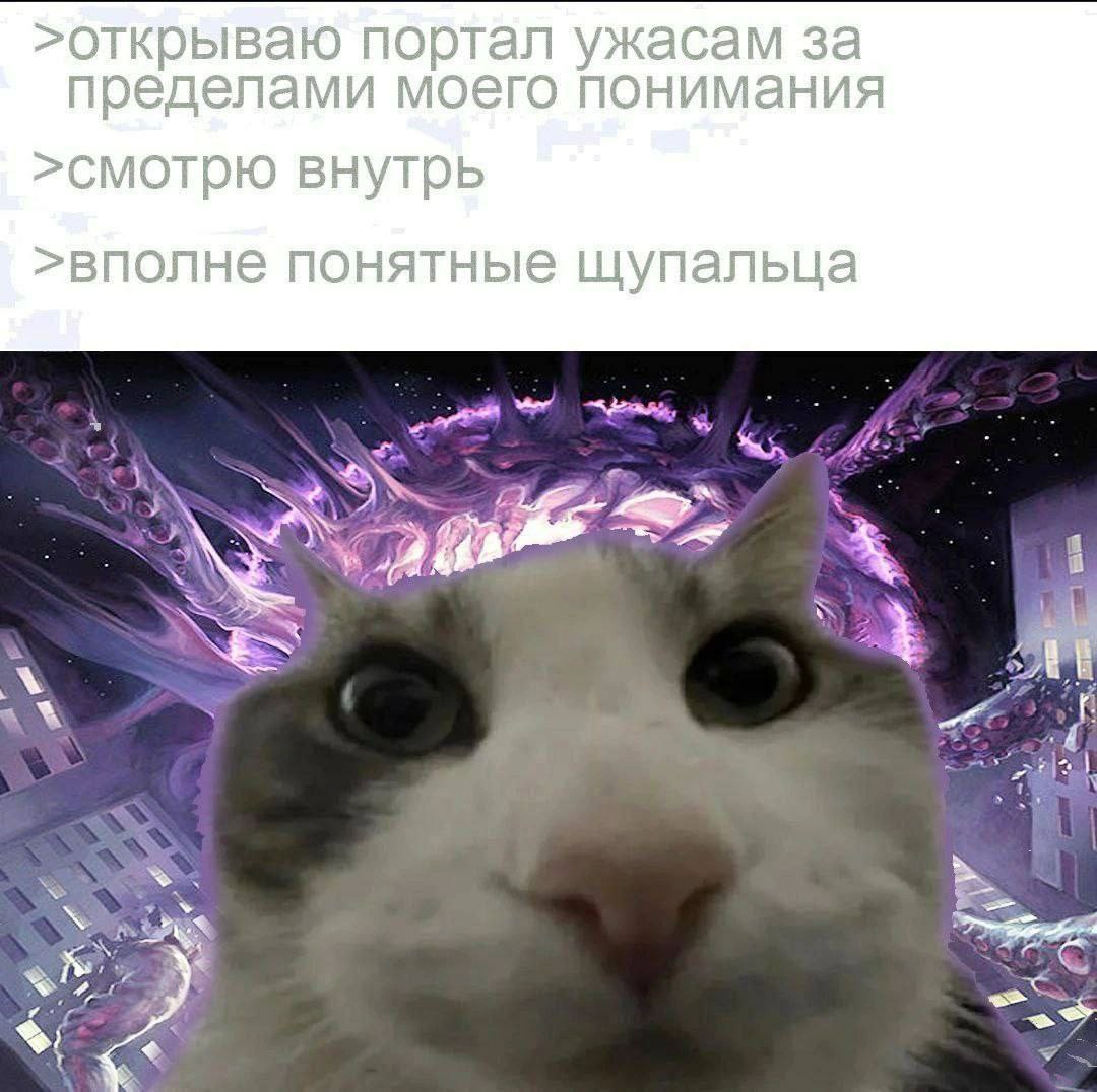 Вполне понятные щупальца Мем с котом, который смотрит на щупальца из открытого портала