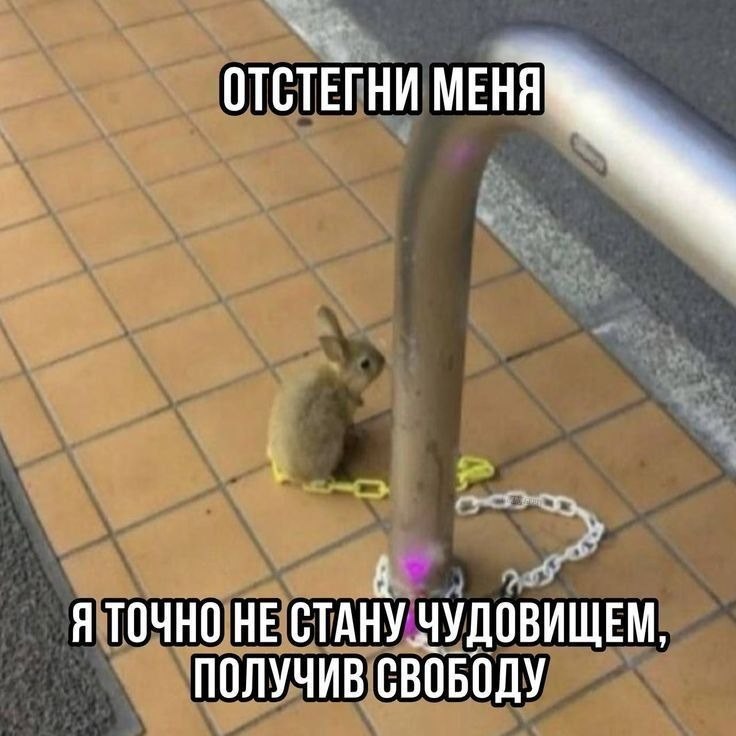 Маленький кролик, пристегнутый цепочкой к стойке, просит его освободить и обещает не стать чудовищем.