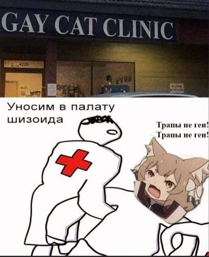 Уносим в палату шизоида, трапы не геи Мем с котоклиникой, доктором, уносящим пациента в палату шизоида, и кричащим анимешным котом-трапом, отрицающим, что трапы геи.