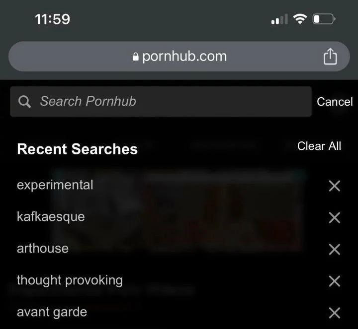 Необычные поисковые запросы на Pornhub Скриншот недавних поисковых запросов на Pornhub, включающих "experimental", "kafkaesque", "arthouse", "thought provoking" и "avant garde"