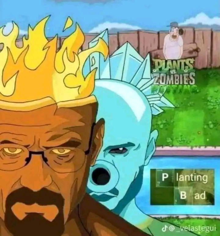 Уолтер Уайт и Горохострел из Plants vs. Zombies Мем, где персонажи Уолтер Уайт из сериала "Во все тяжкие" и Горохострел из игры "Plants vs. Zombies" стилизованы под элементы огня и льда, с надписью "Planting bad" на экране игры.