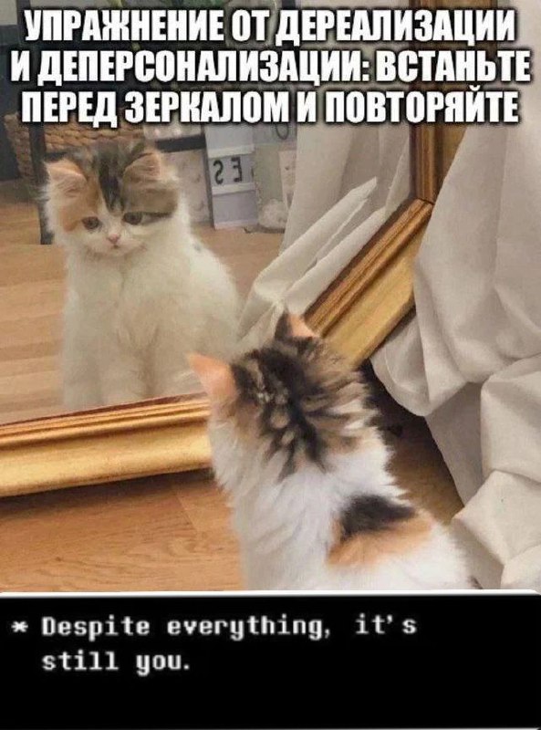 Пушистый котёнок смотрит в зеркало, а сверху написано: «Упражнение от дереализации и деперсонализации: встаньте перед зеркалом и повторяйте». Внизу подпись: «Despite everything, it's still you».