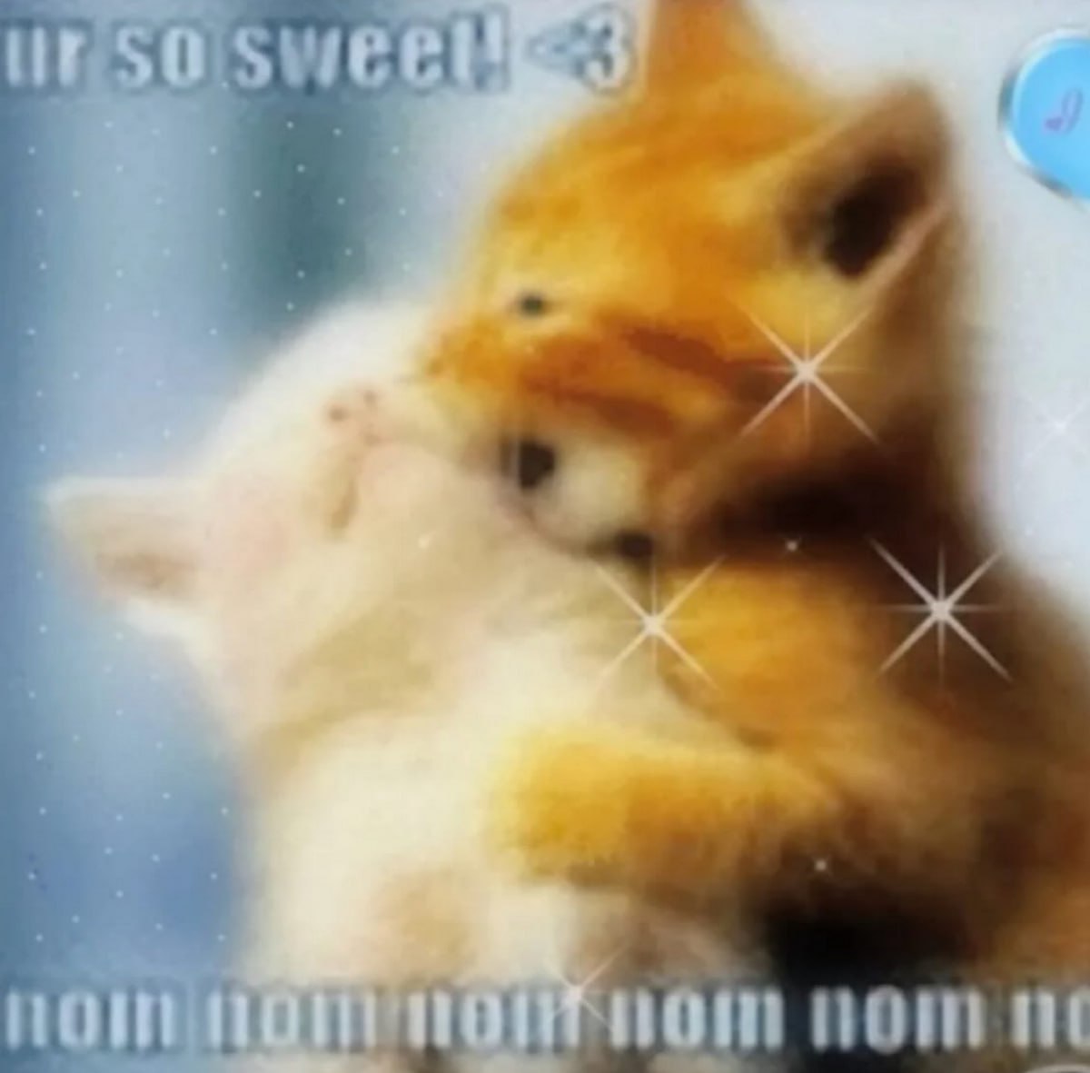 Ур со свит, котята обнимаются Два котёнка обнимаются с текстом "Ur so sweet! <3" и "Nom nom nom nom nom nom".