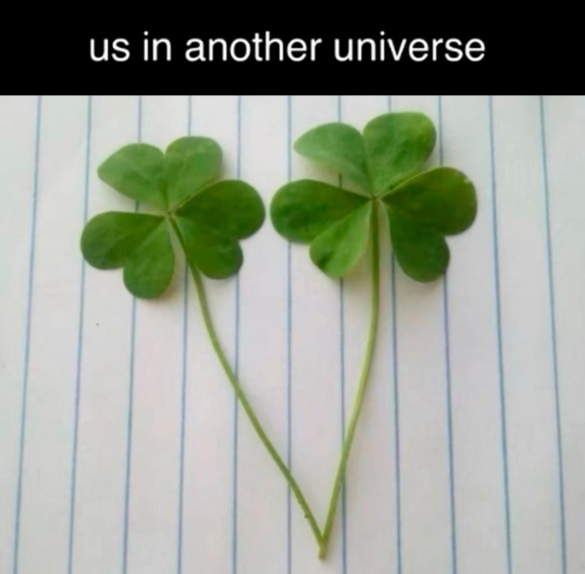 us in another universe Два листа клевера, расположенные в форме сердца, символизируют "нас в другой вселенной"