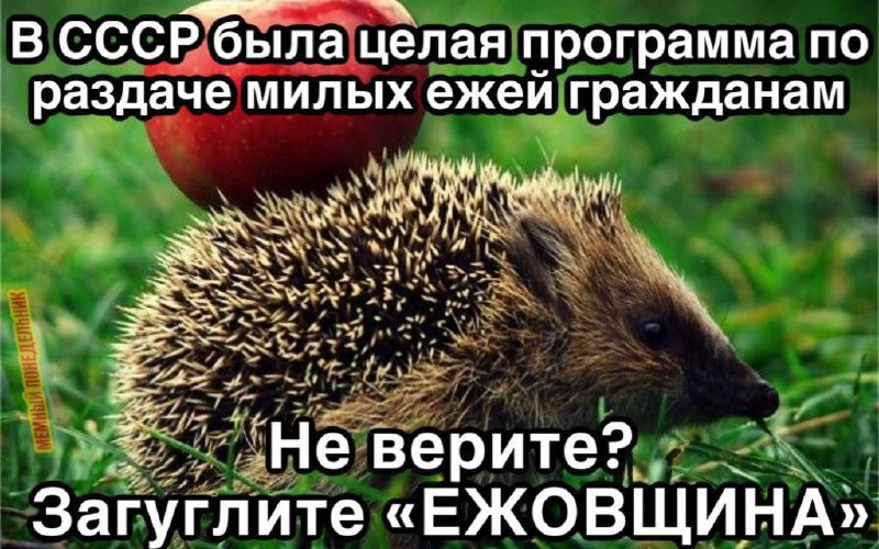 В СССР была программа по раздаче ежей гражданам Мем про советскую программу по раздаче ежей гражданам и предложение загуглить «Ежовщина»