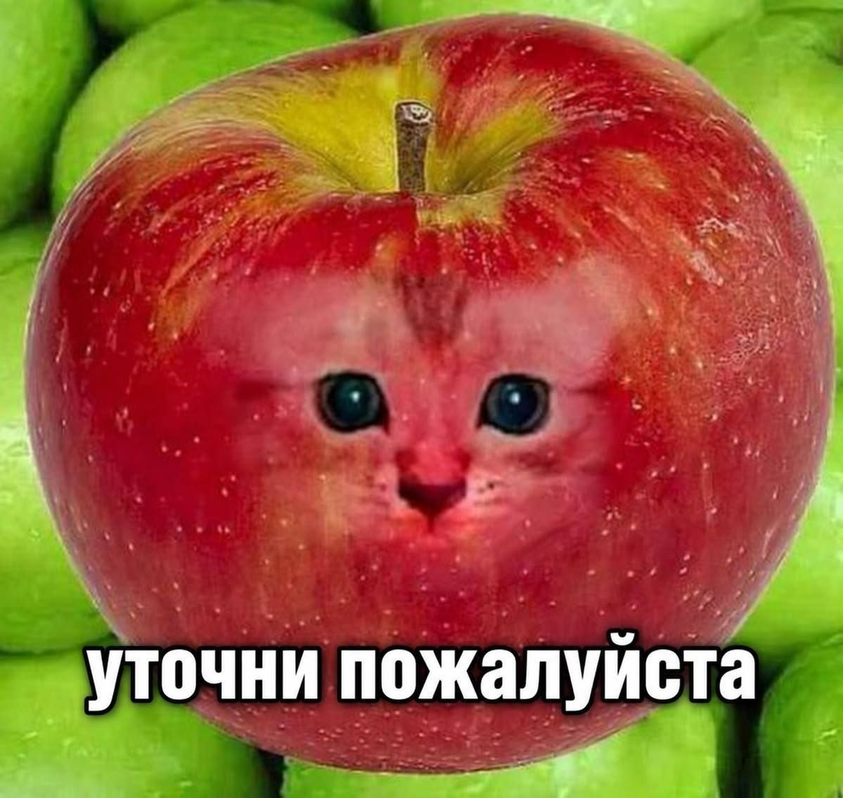 Милое яблоко с мордочкой котёнка и надписью «Уточни пожалуйста».