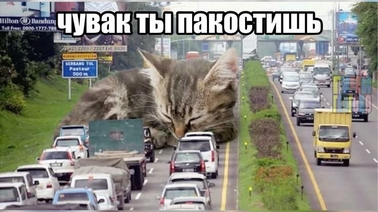 Огромная сердитая кошка нависает над пробкой на дороге с надписью «Увак ты пакостишь».