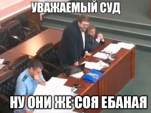 Участник судебного заседания обращается к суду, но вместо официальной речи срывается на эмоциональную фразу «Ну они же сюда ебаная».
