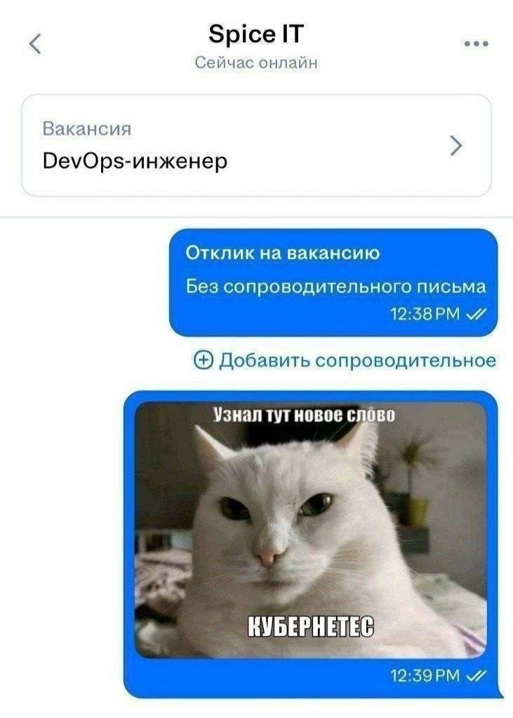 Отклик на вакансию DevOps-инженера без сопроводительного письма и мем про новое слово «кубернетес».