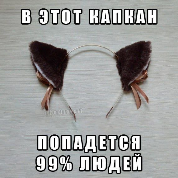 В этот капкан попадется 99% людей На обложке этого мема вы видите обруч с кошачьими ушами коричневого цвета, по бокам которых прикреплены две розовые ленточки. Обруч лежит на светлом, деревянном столе. Сверху и снизу изображения есть текст, который полностью читается как: «В этот капкан попадется 99% людей».