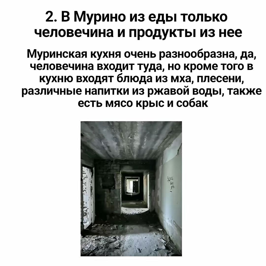 В Мурино из еды только человечина 2. В Мурино из еды только человечина и продукты из нее. Муринская кухня очень разнообразна: блюда из мха, плесени, напитки из ржавой воды, а также мясо крыс и собак.
