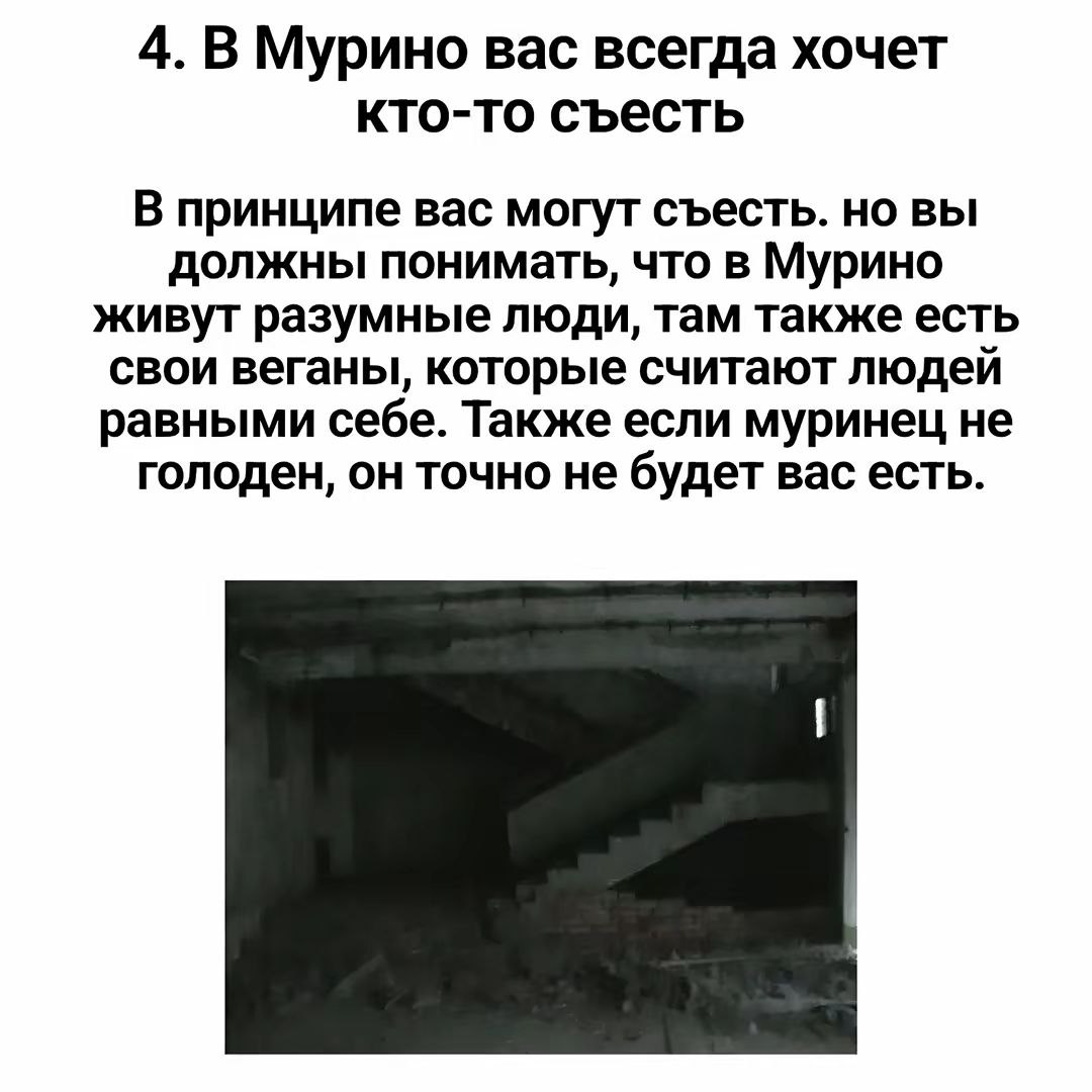 В Мурино вас всегда хочет кто-то съесть Мем о том, что в Мурино вас всегда хочет кто-то съесть, но есть нюансы