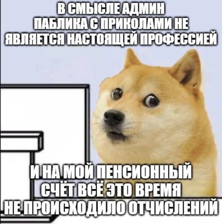 В смысле админ паблика не профессия Мем с Доге "В смысле админ паблика с приколами не является настоящей профессией"