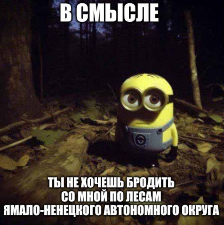 В смысле ты не хочешь бродить со мной по лесам Ямало-Ненецкого автономного округа Миньон в ночном лесу спрашивает: "В смысле ты не хочешь бродить со мной по лесам Ямало-Ненецкого автономного округа?"